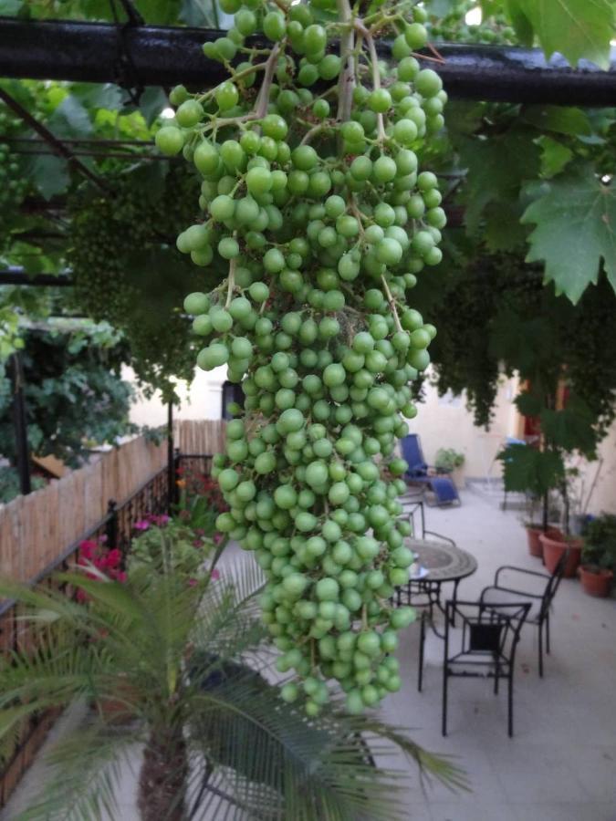 فيلا House Klimataria كاميلاريون المظهر الخارجي الصورة